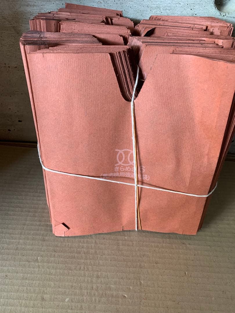 もも袋　きらめき6V強遮光袋1500枚