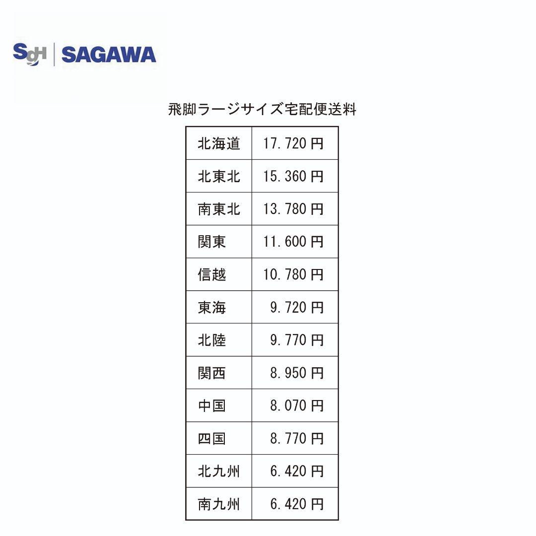 ピストバイク [オーバーホール済]　ブランド不明