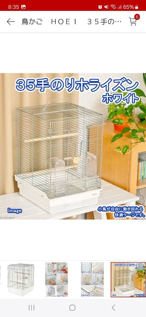 オカメインコ　セキセイインコ　小鳥　ケージ