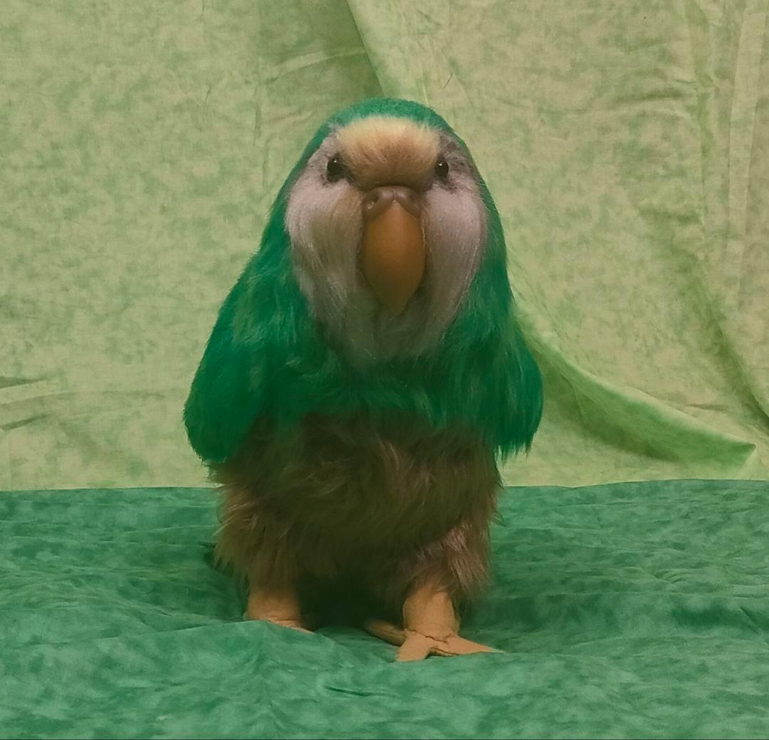 等身大ぬいぐるみ　カカポ(自立可動式・有翼・鳴き声仕掛け)