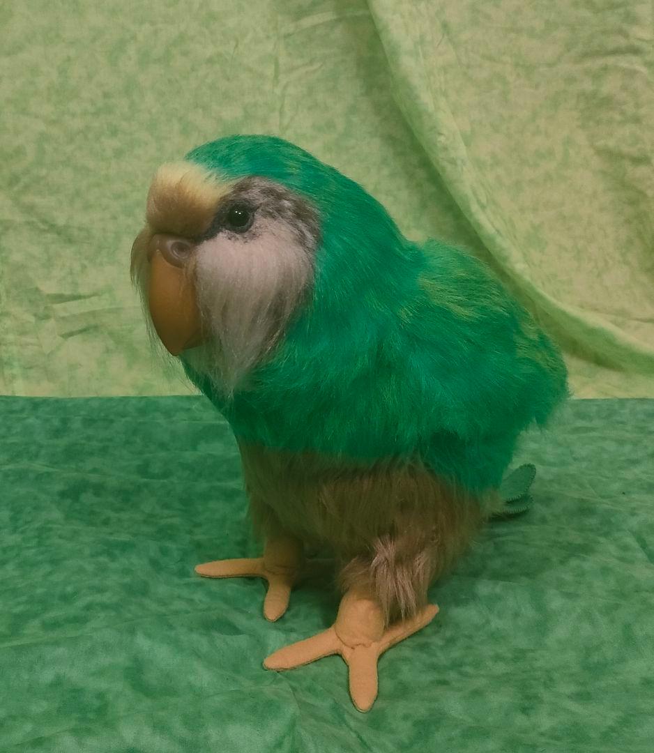 等身大ぬいぐるみ　カカポ(自立可動式・有翼・鳴き声仕掛け)