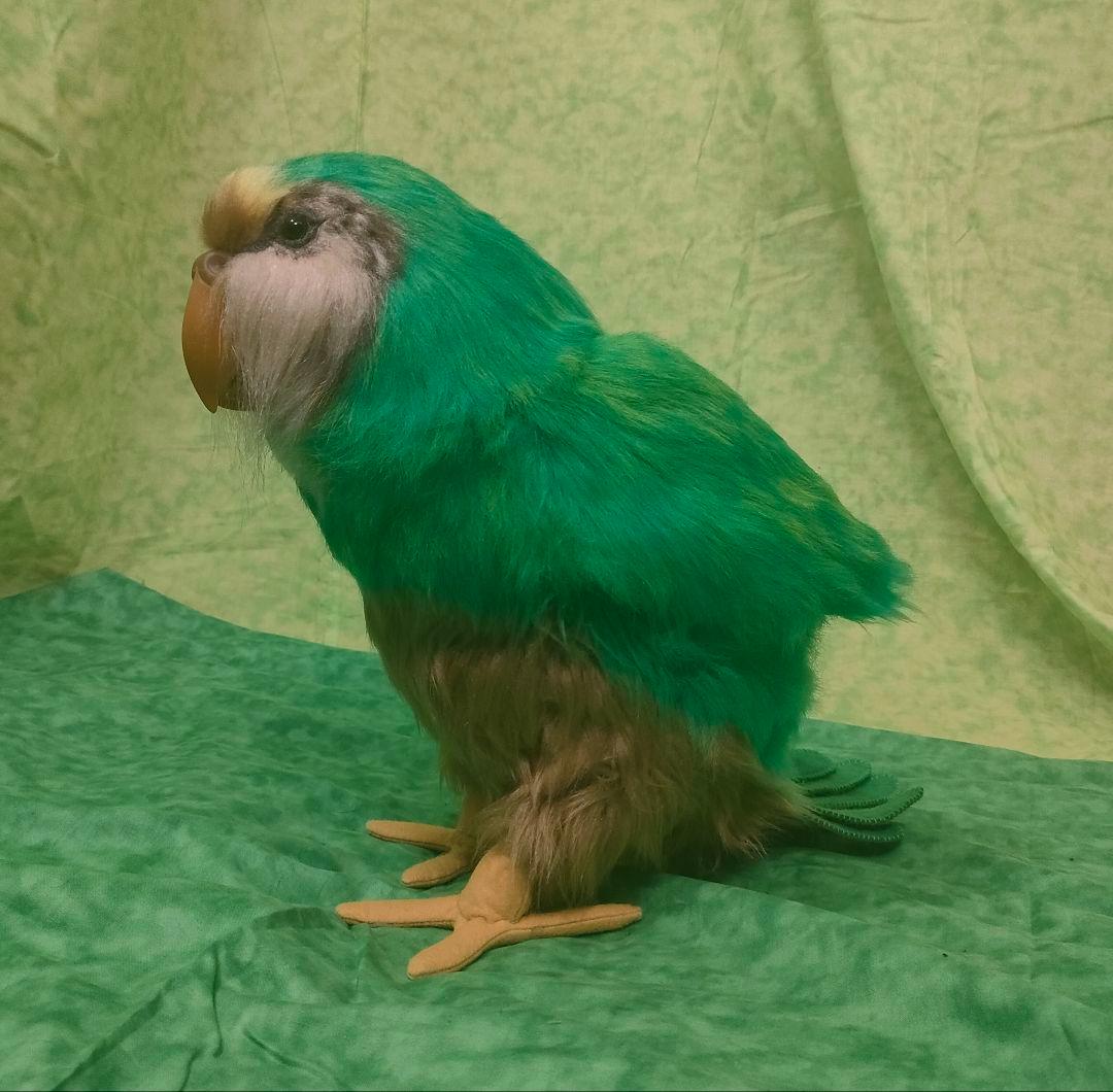 等身大ぬいぐるみ　カカポ(自立可動式・有翼・鳴き声仕掛け)