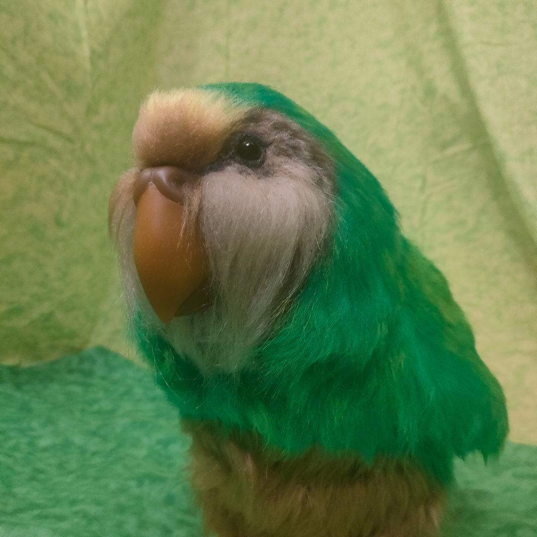 等身大ぬいぐるみ　カカポ(自立可動式・有翼・鳴き声仕掛け)