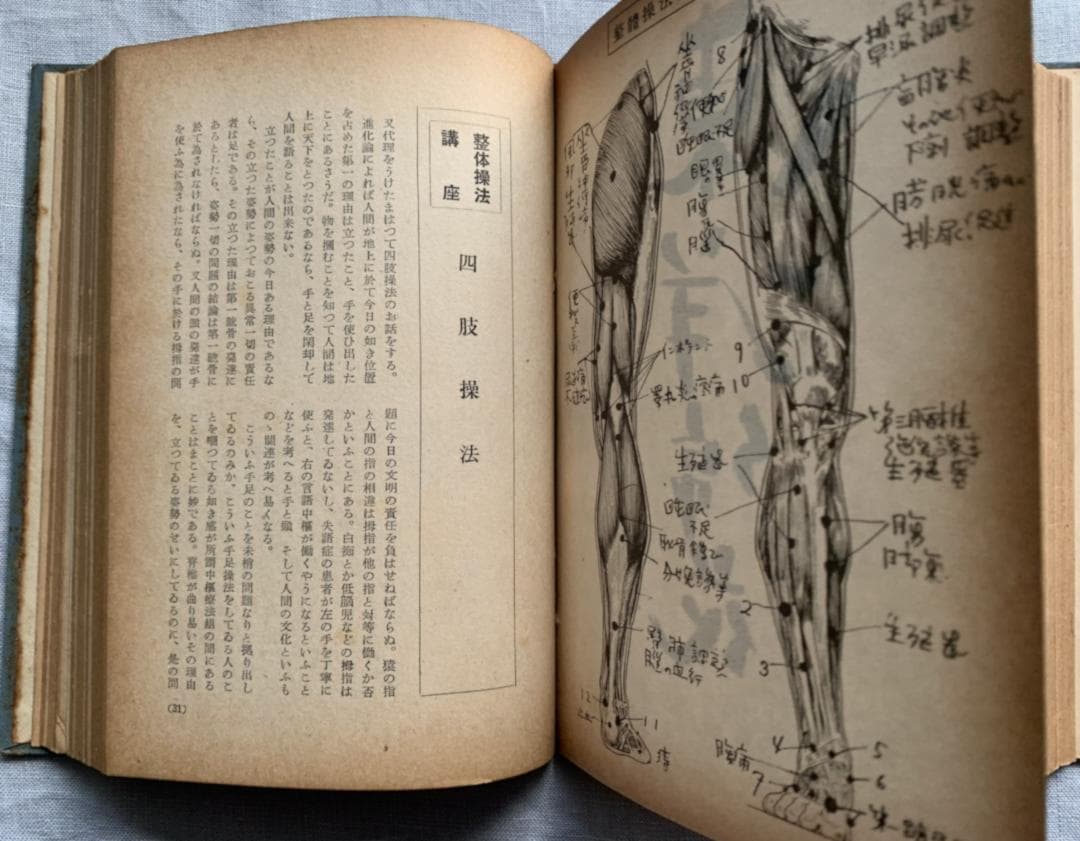 野口晴哉　幻の名著「全生談義」