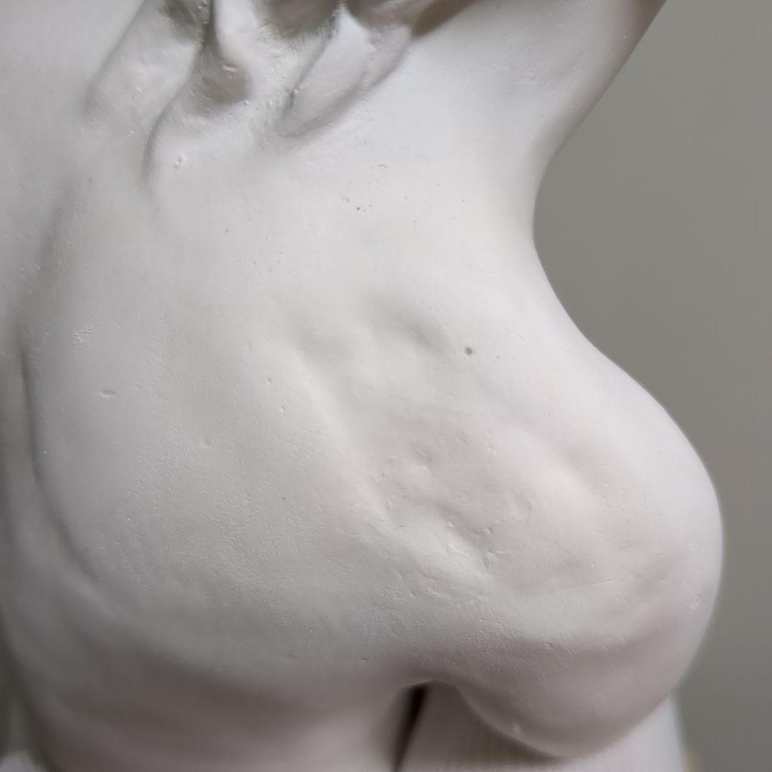 横浜　岡石膏像製作所　ミロのヴィーナス　50cm