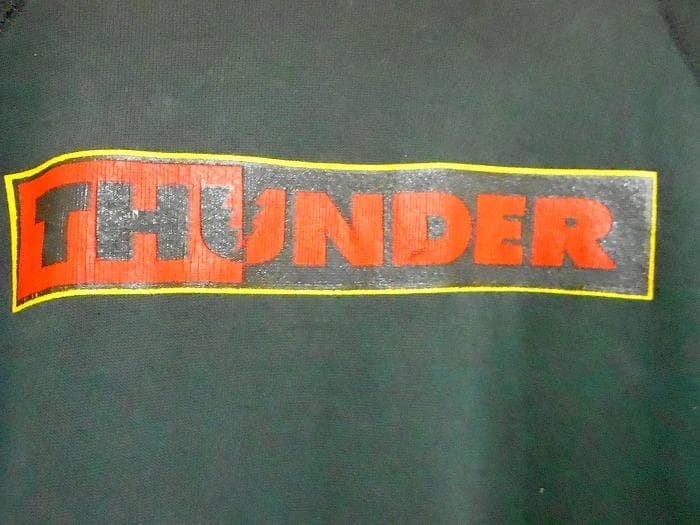 THUNDER TRUCKS サンダー 90s USA製 パーカー