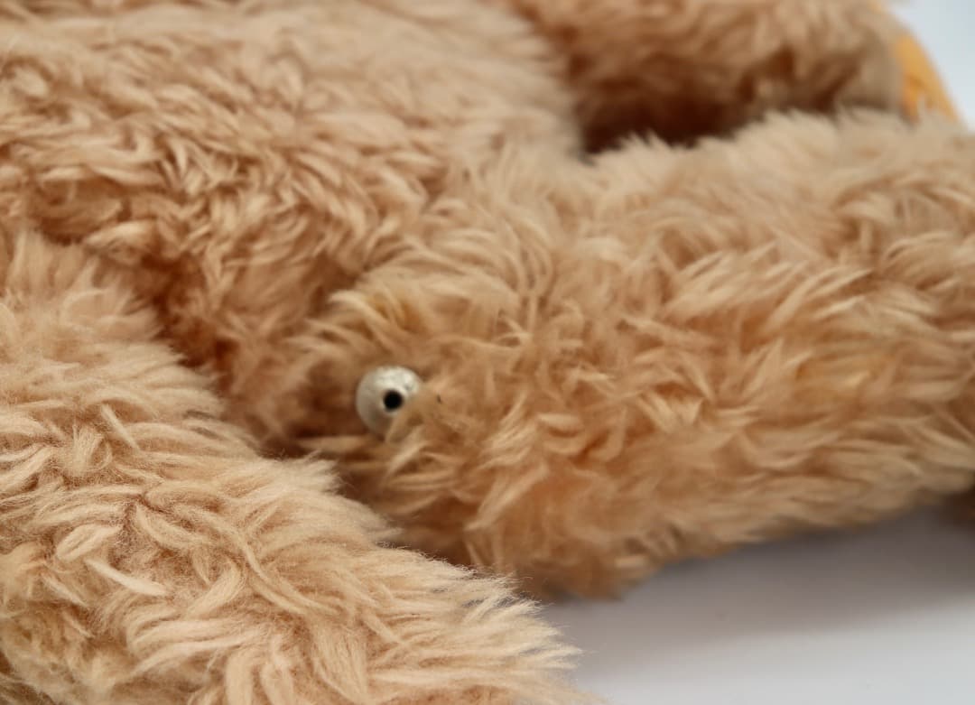 Schuco 1966 Bigo-Bello Parlo テディベア 約30cm