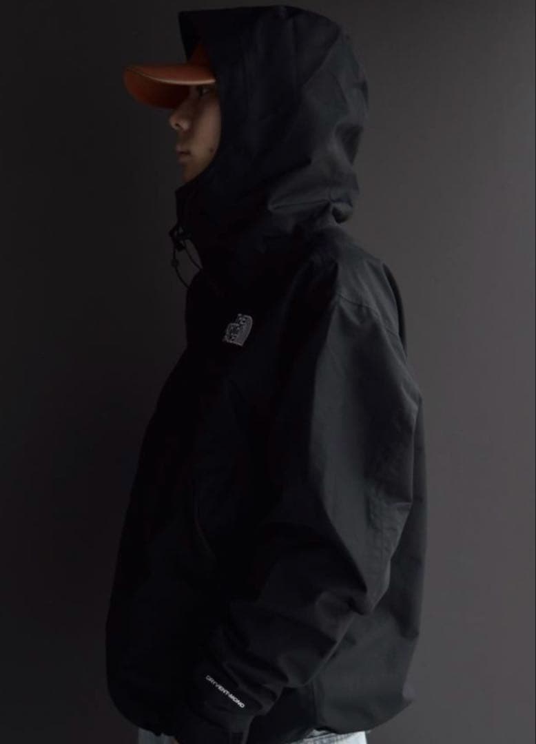 ノースフェイス mountain jacket USモデル L(日本XL)