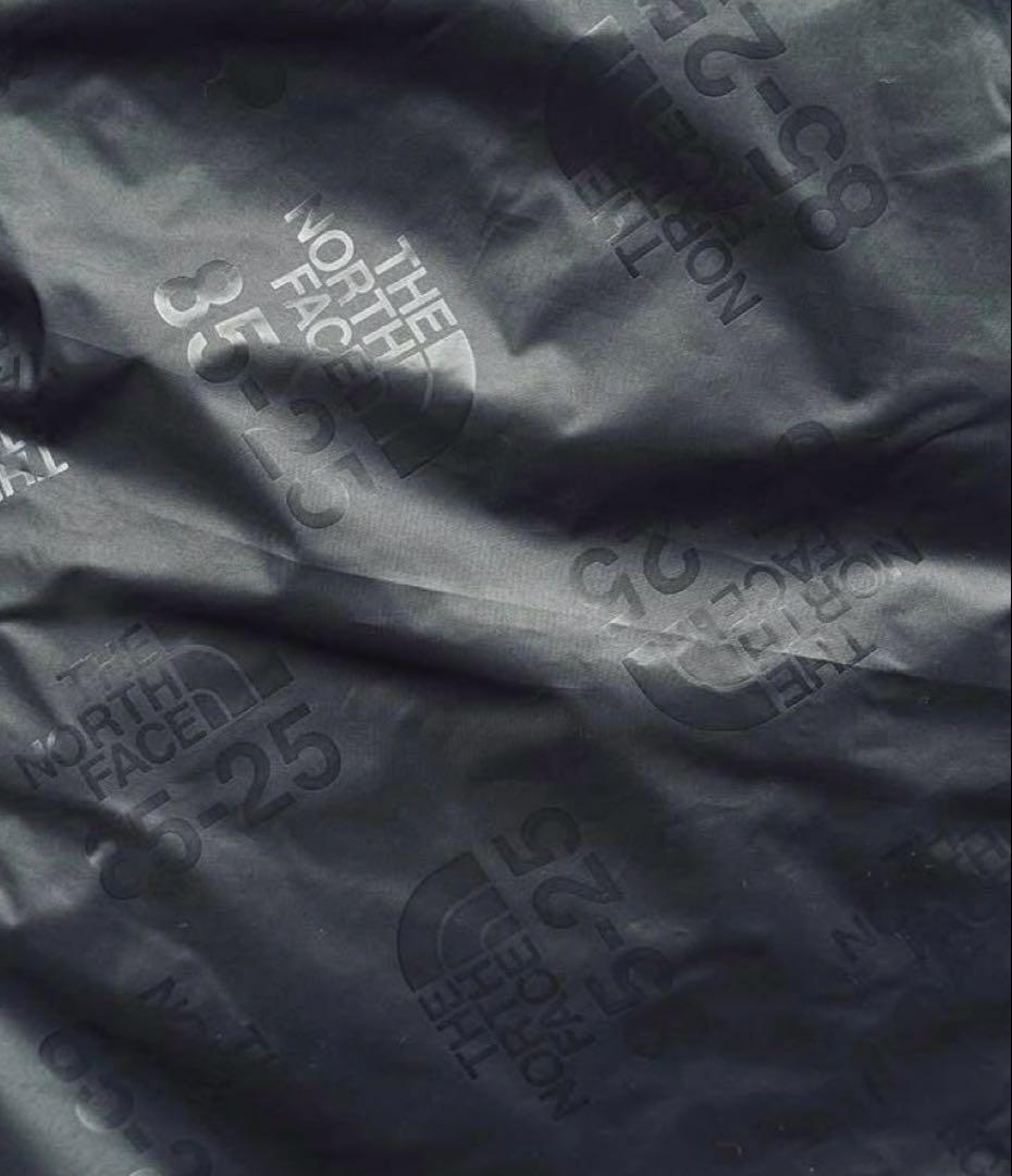 ノースフェイス mountain jacket USモデル L(日本XL)