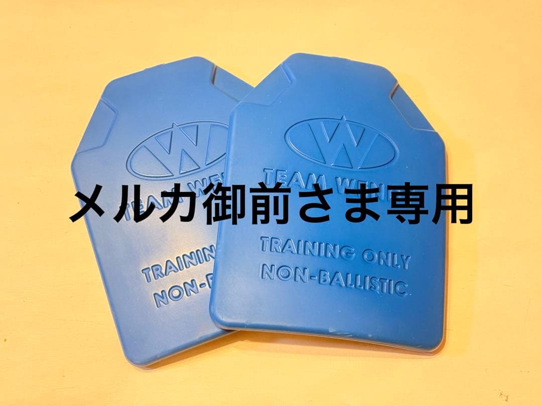 TEAM WENDY トレーニング用プレート2枚セット