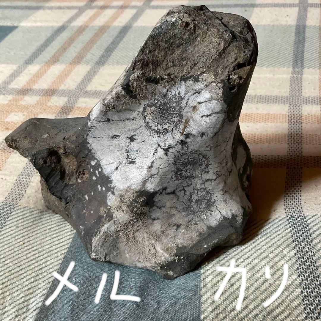 菊花石　根尾川産地物　台座無し　0.8kg 【産地物　極上美品　インテリアに】。