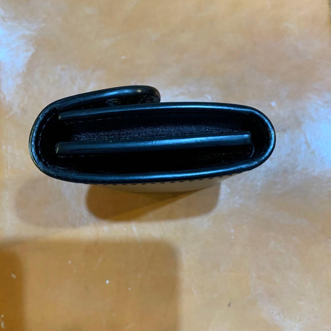 ワイルドスワンズ　ポント