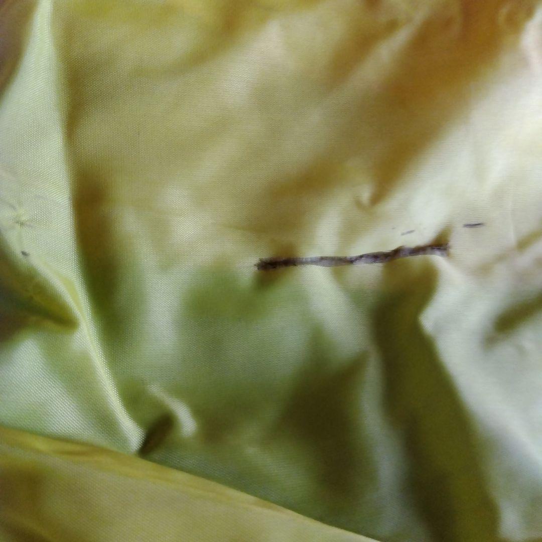 鯉のぼり デザイン 4色【５メートル】✖2セット