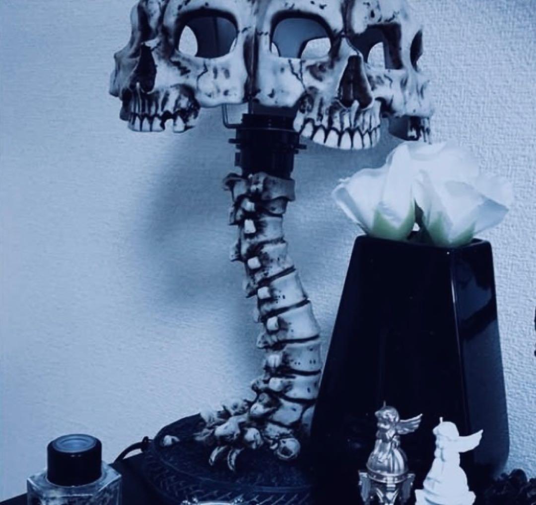 Spider Rock Web Atrocity 37.5cm/スタンドライト