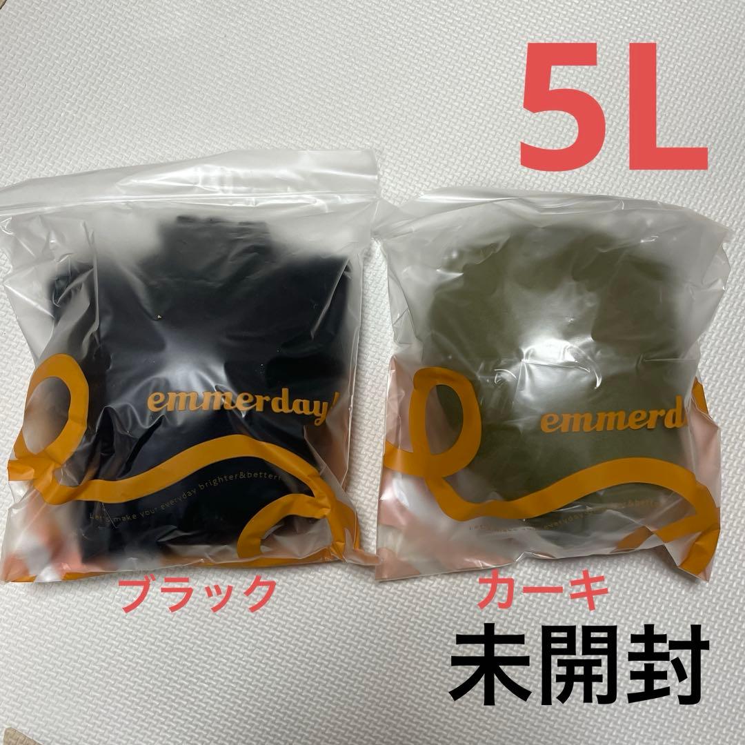 emmerday エマーデイ　感動シルエットブラ　ノンワイヤーブラナイトブラ5L