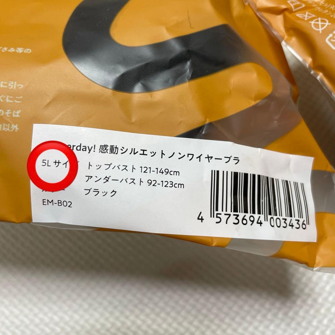 emmerday エマーデイ　感動シルエットブラ　ノンワイヤーブラナイトブラ5L
