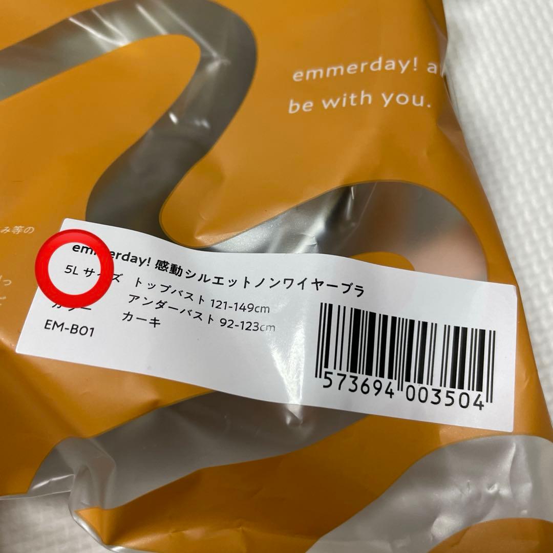 emmerday エマーデイ　感動シルエットブラ　ノンワイヤーブラナイトブラ5L