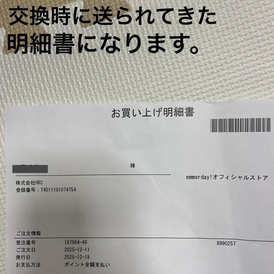 emmerday エマーデイ　感動シルエットブラ　ノンワイヤーブラナイトブラ5L