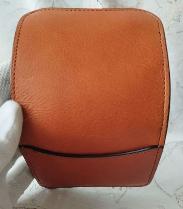 超希少【新品旧ロゴ】ワイルドスワンズ ミネルバボックス×サドル パーム オルモ