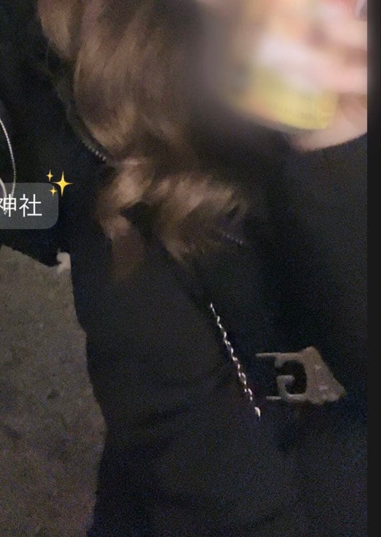 GYDAロングダウン