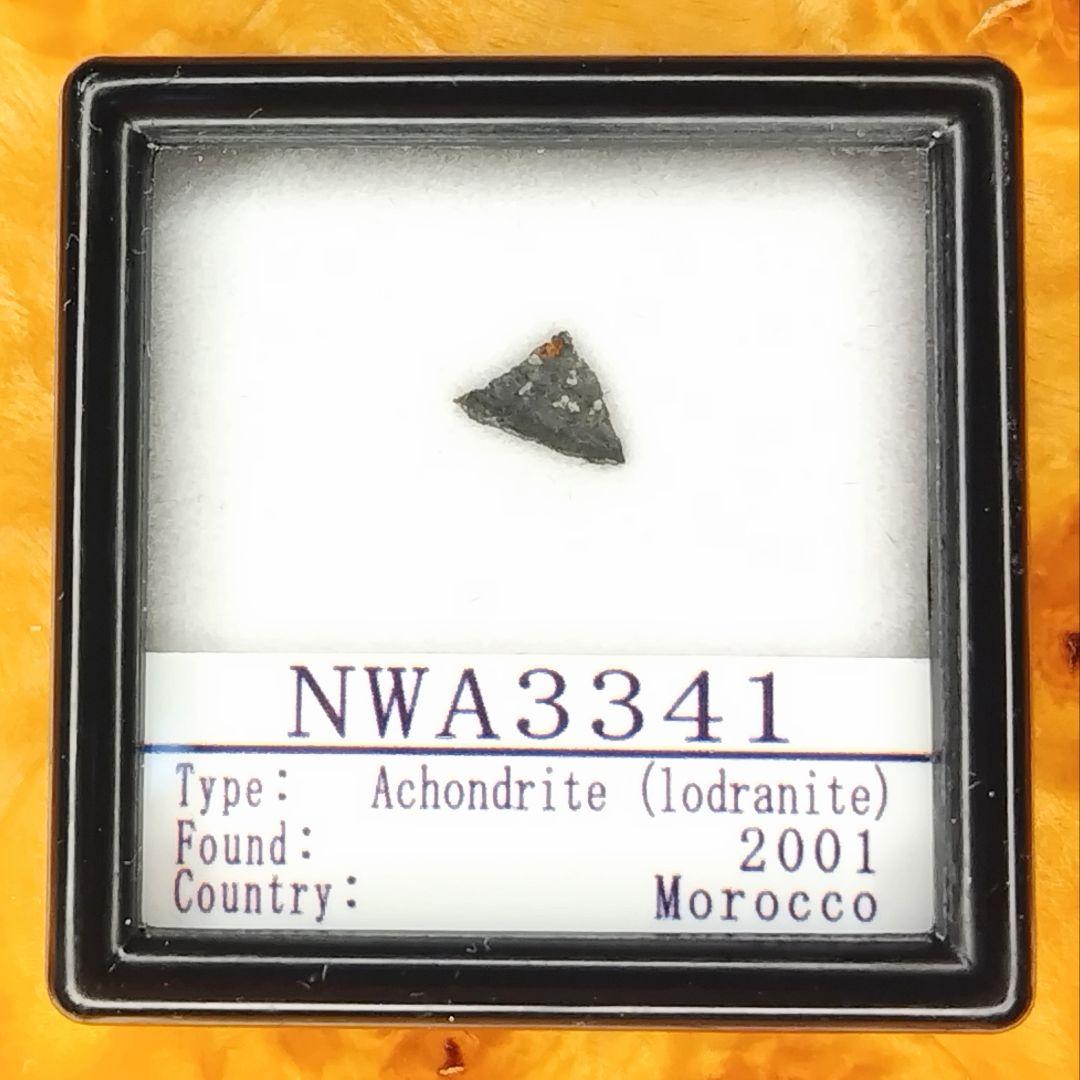 ウルトラ希少ロードラナイト✨NWA3341原始的無球粒隕石