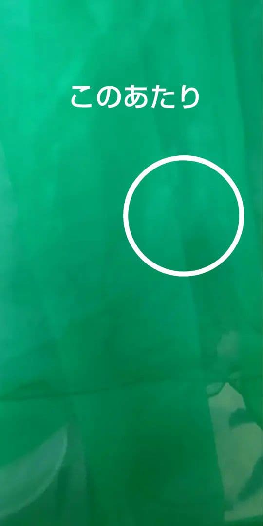 社交ダンスドレス！Gentil社スタンダードドレス！グリーン！