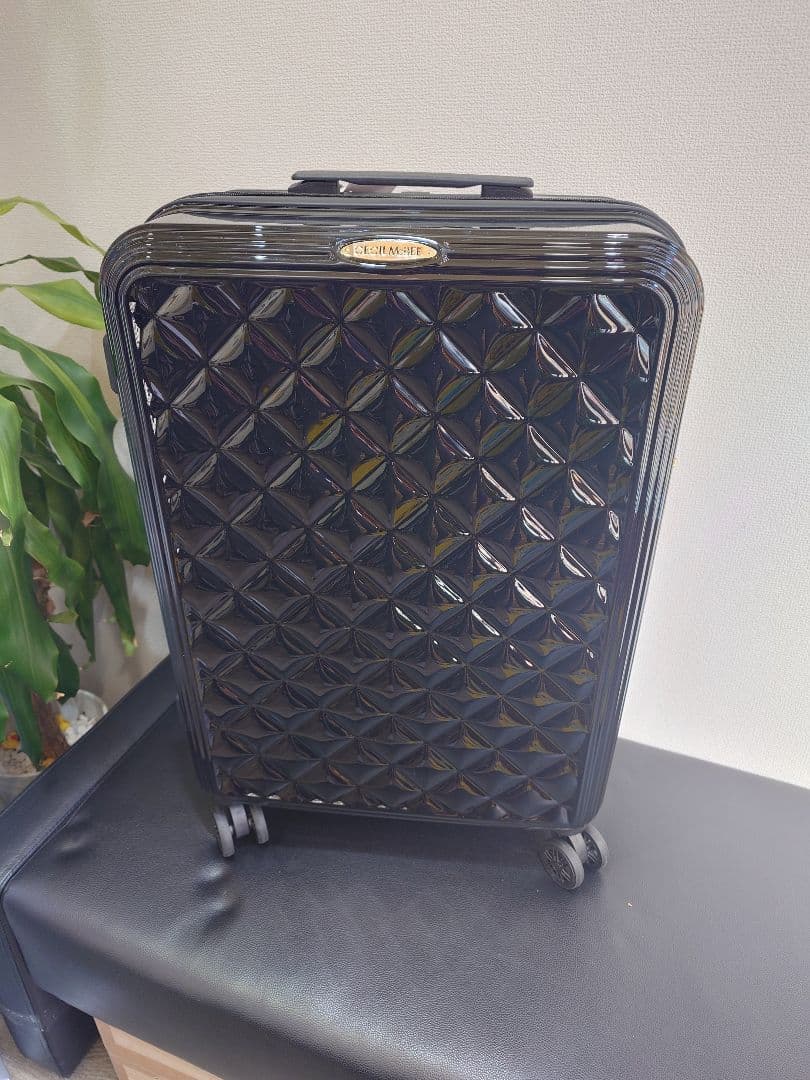 タグ付き未使用　セシルマクビー　キャリングケース　Lサイズ