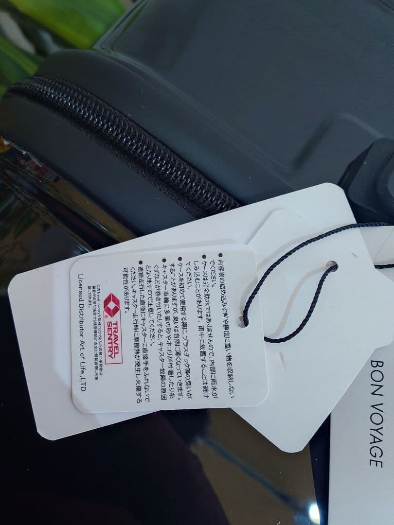 タグ付き未使用　セシルマクビー　キャリングケース　Lサイズ