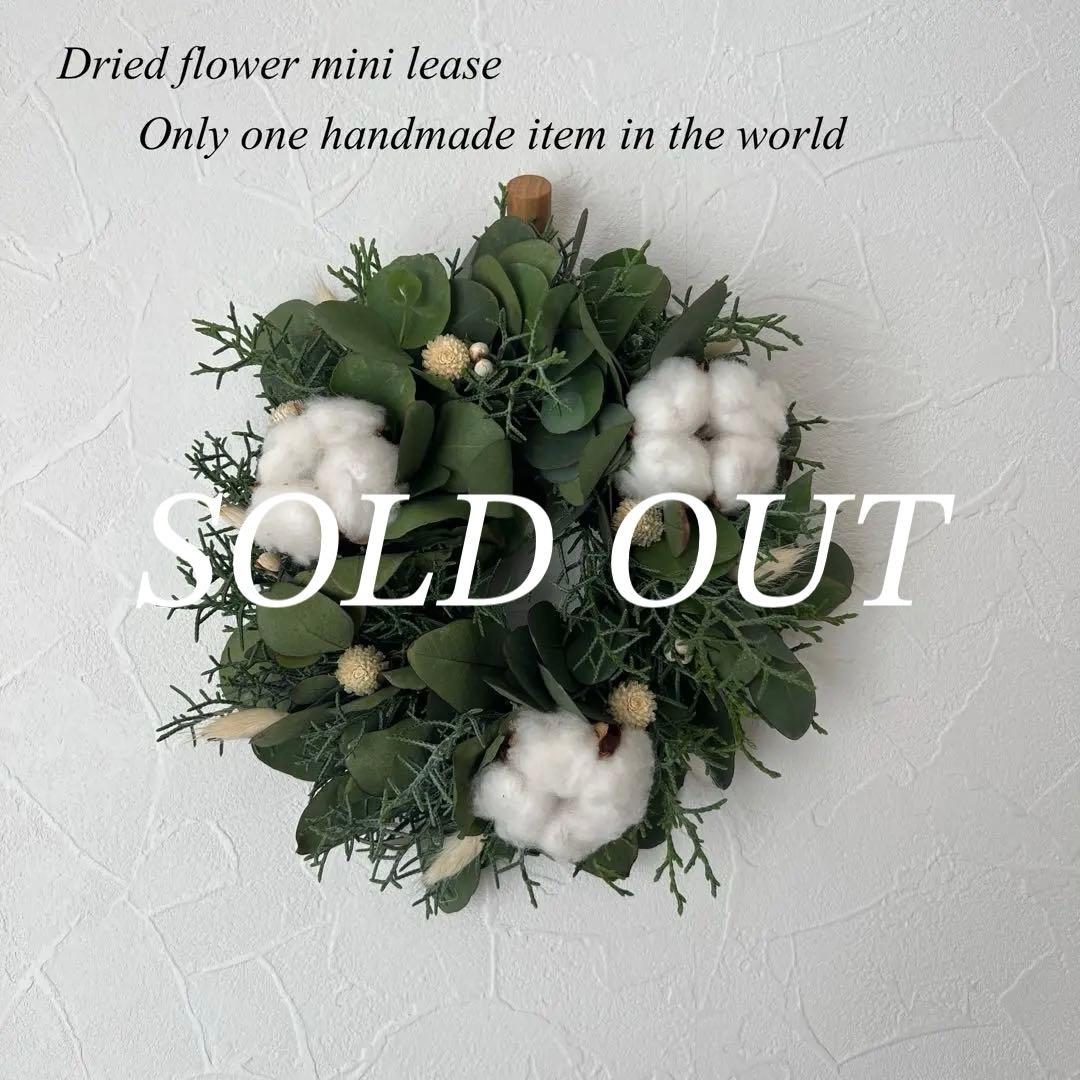 ポポラスとコットンのナチュラルリース ***ラッピング無料 冬 プレゼント