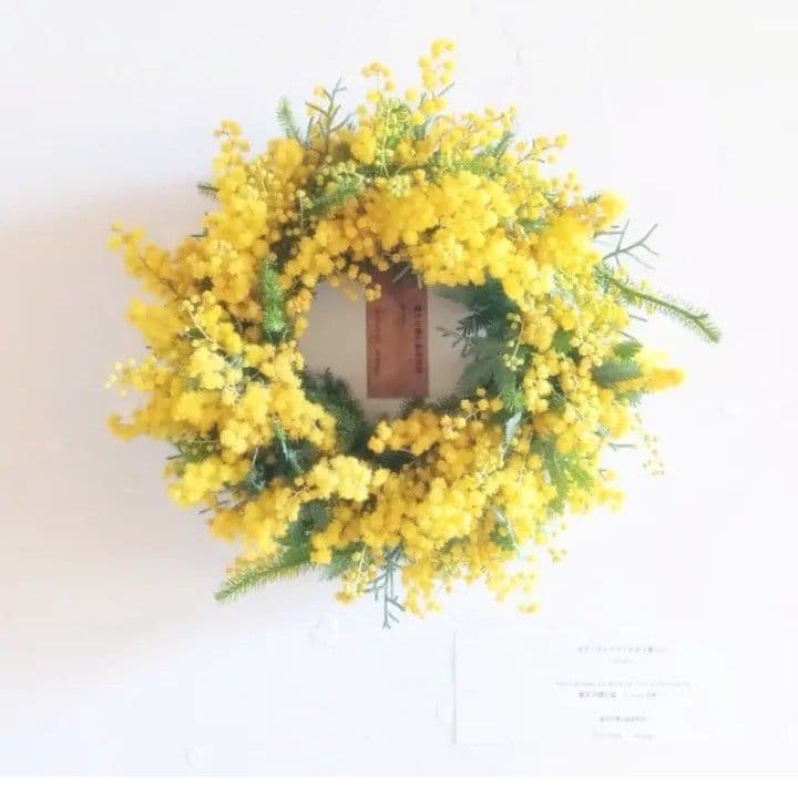 新品 未使用 ミモザリースミモザ ドライフラワー リース 【ご予約スタート】