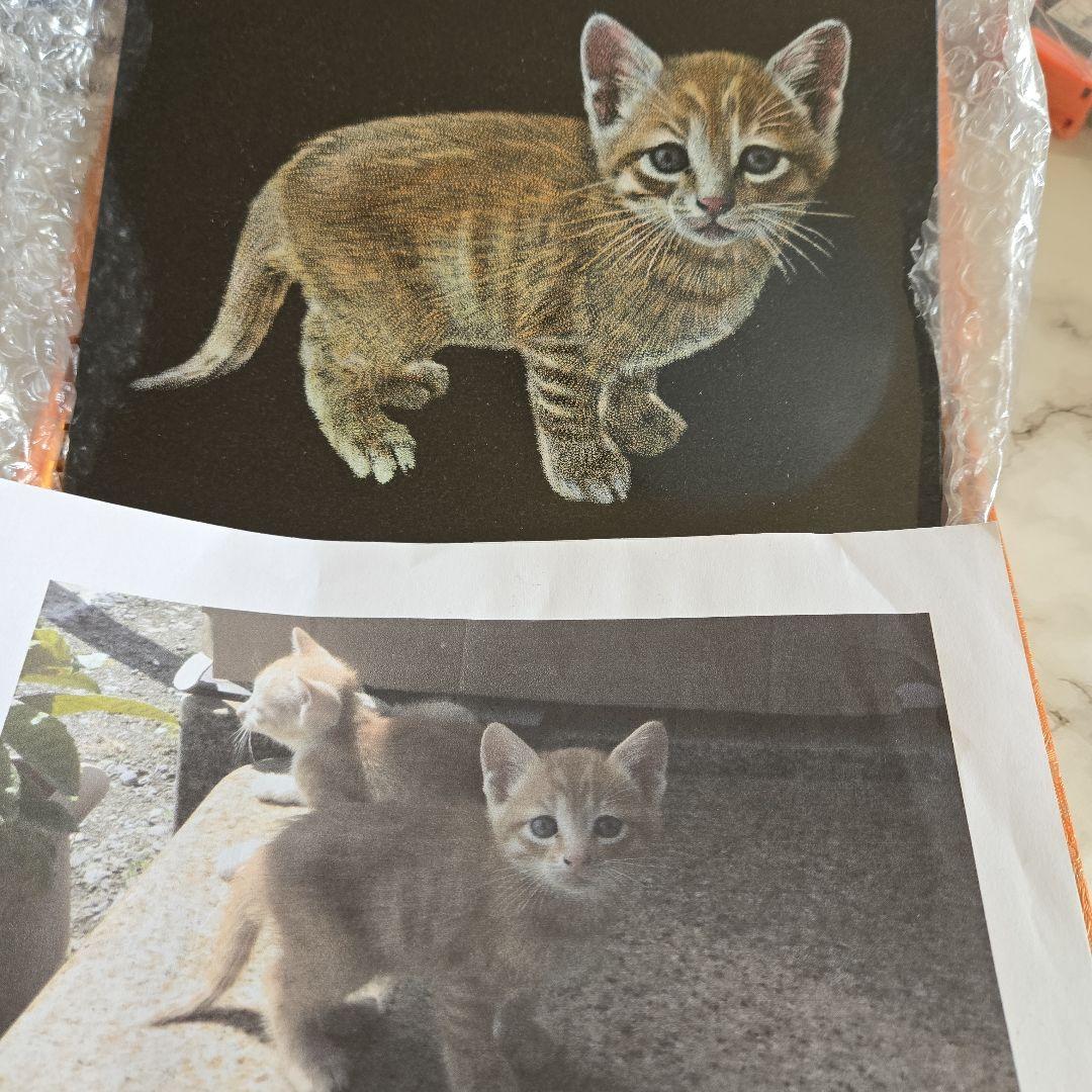 御影石(黒)猫の影彫り置物