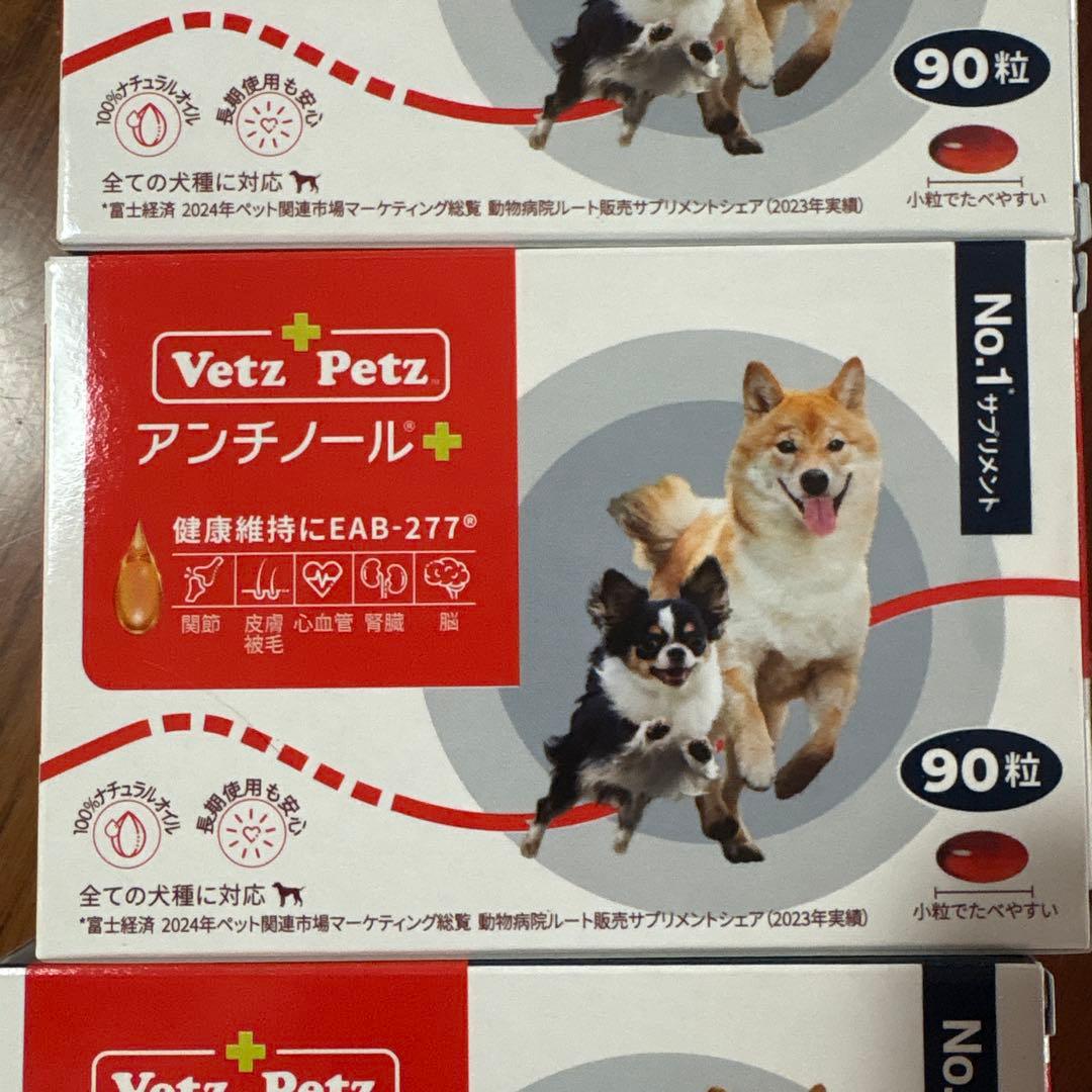 アンチノール90粒