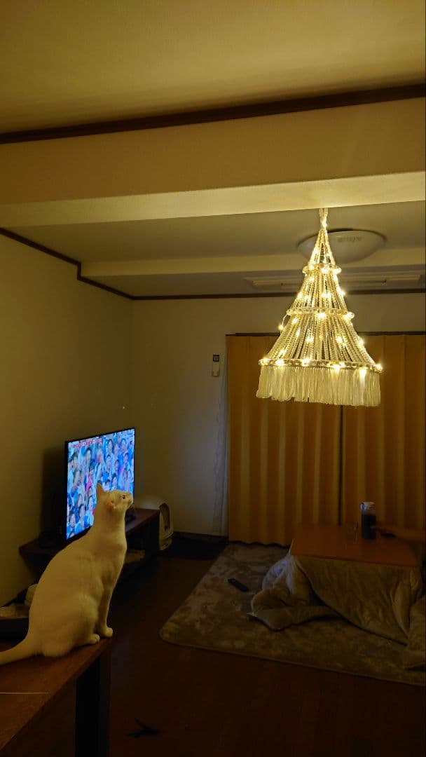 ネコ対策の　つり下げ　マクラメ　クリスマスツリー