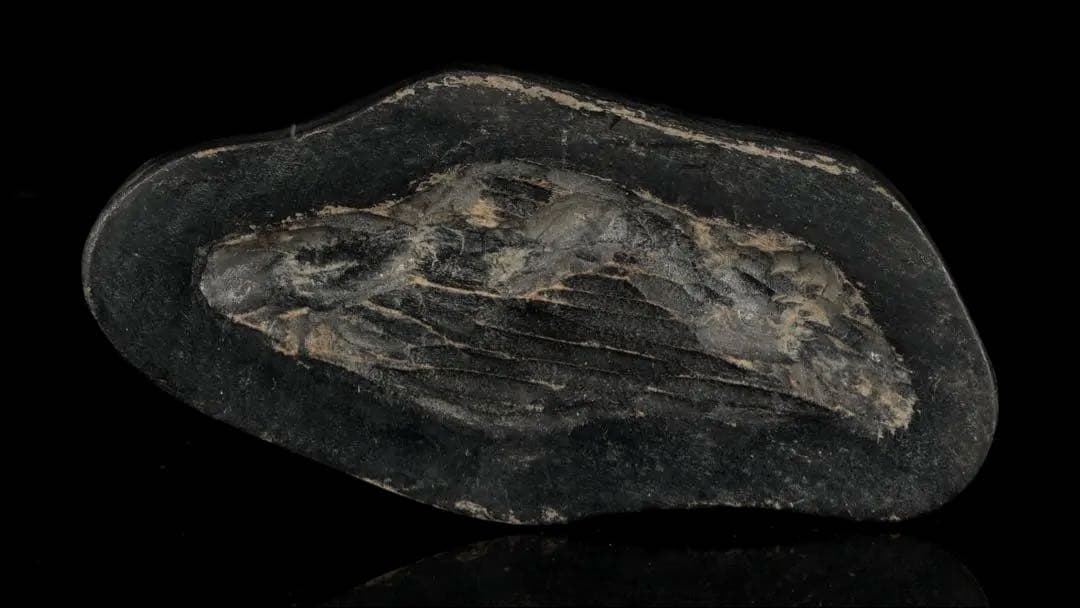 佐渡 赤玉石 赤石 碧玉 台座付 1.4kg 水石 鑑賞石 天然石 盆石 飾石