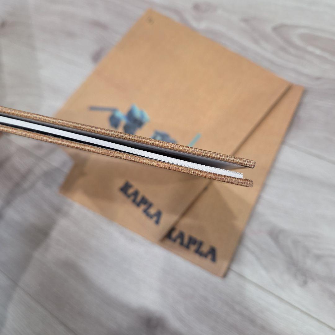 カラーカプラ　カプラ　KAPLA　積み木　120ピース+おまけピース9色