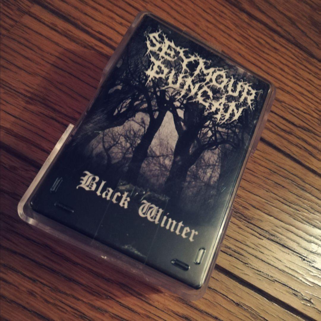 Seymour Duncan Black Winter ピックアップ