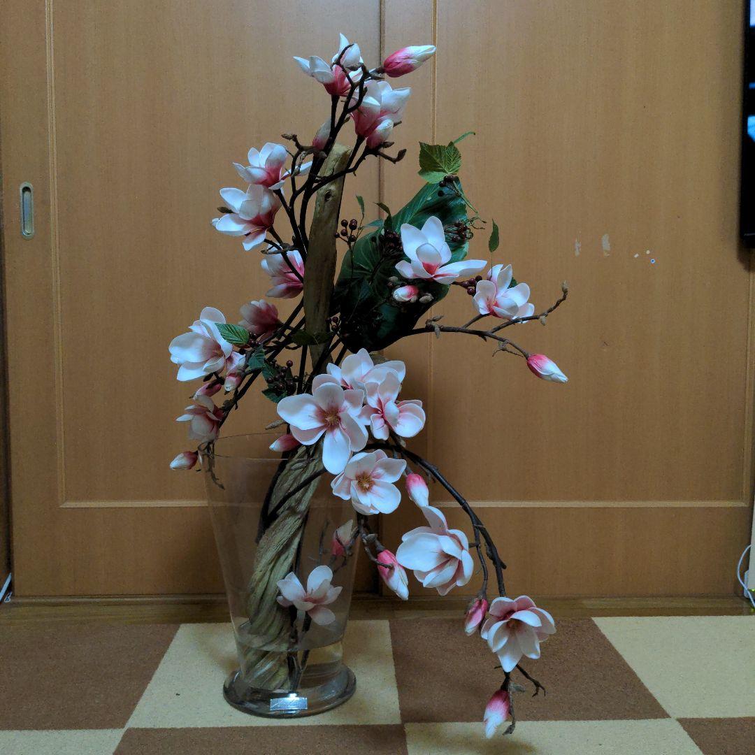 エミリオ・ロバ　モクレン　マグノリア