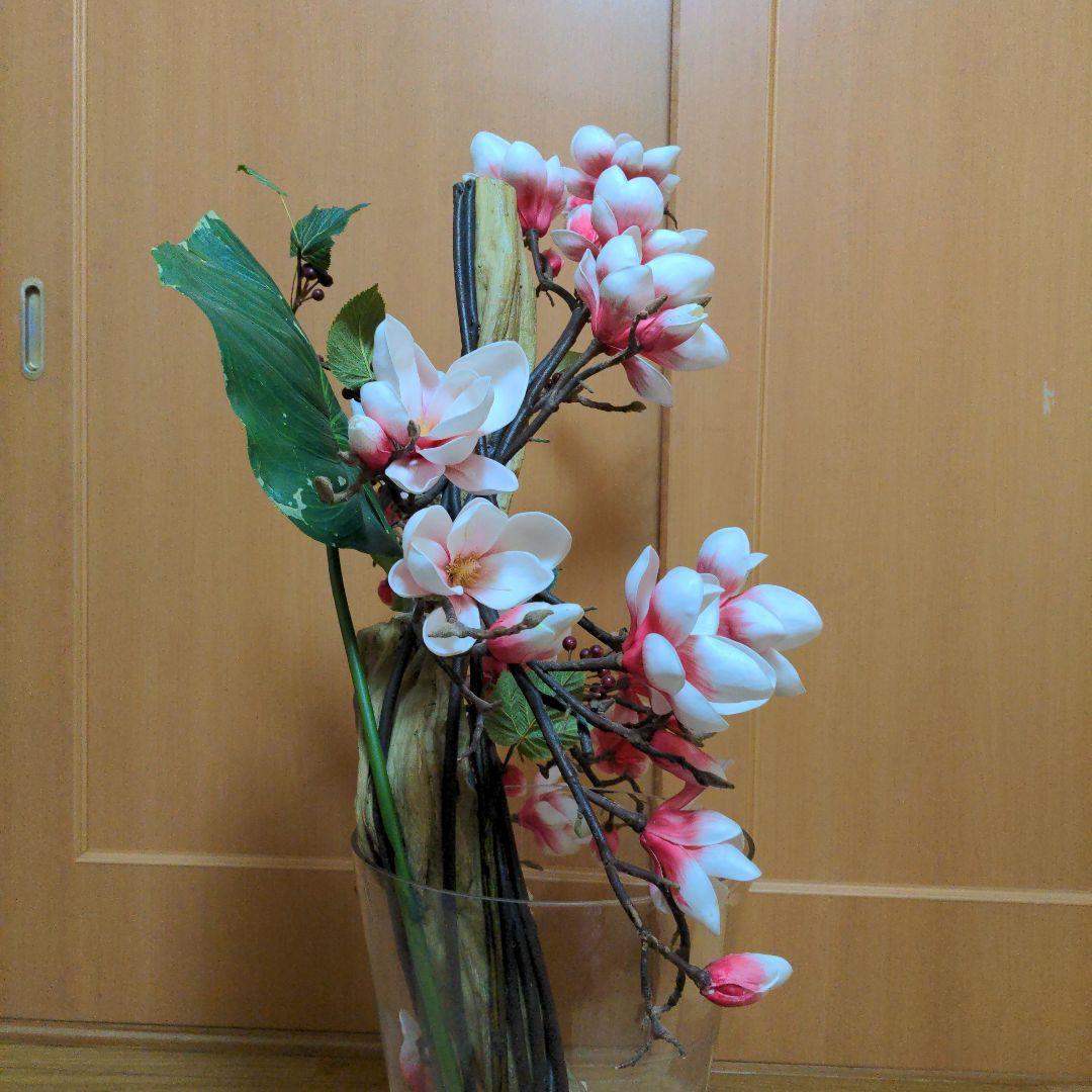 エミリオ・ロバ　モクレン　マグノリア