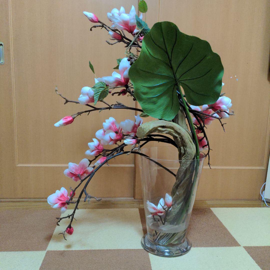 エミリオ・ロバ　モクレン　マグノリア