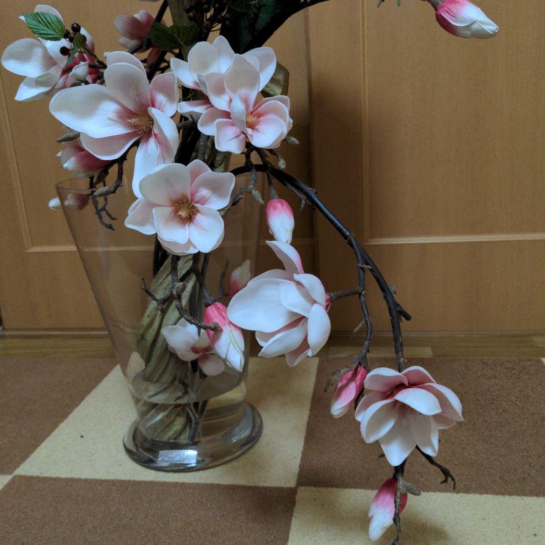 エミリオ・ロバ　モクレン　マグノリア