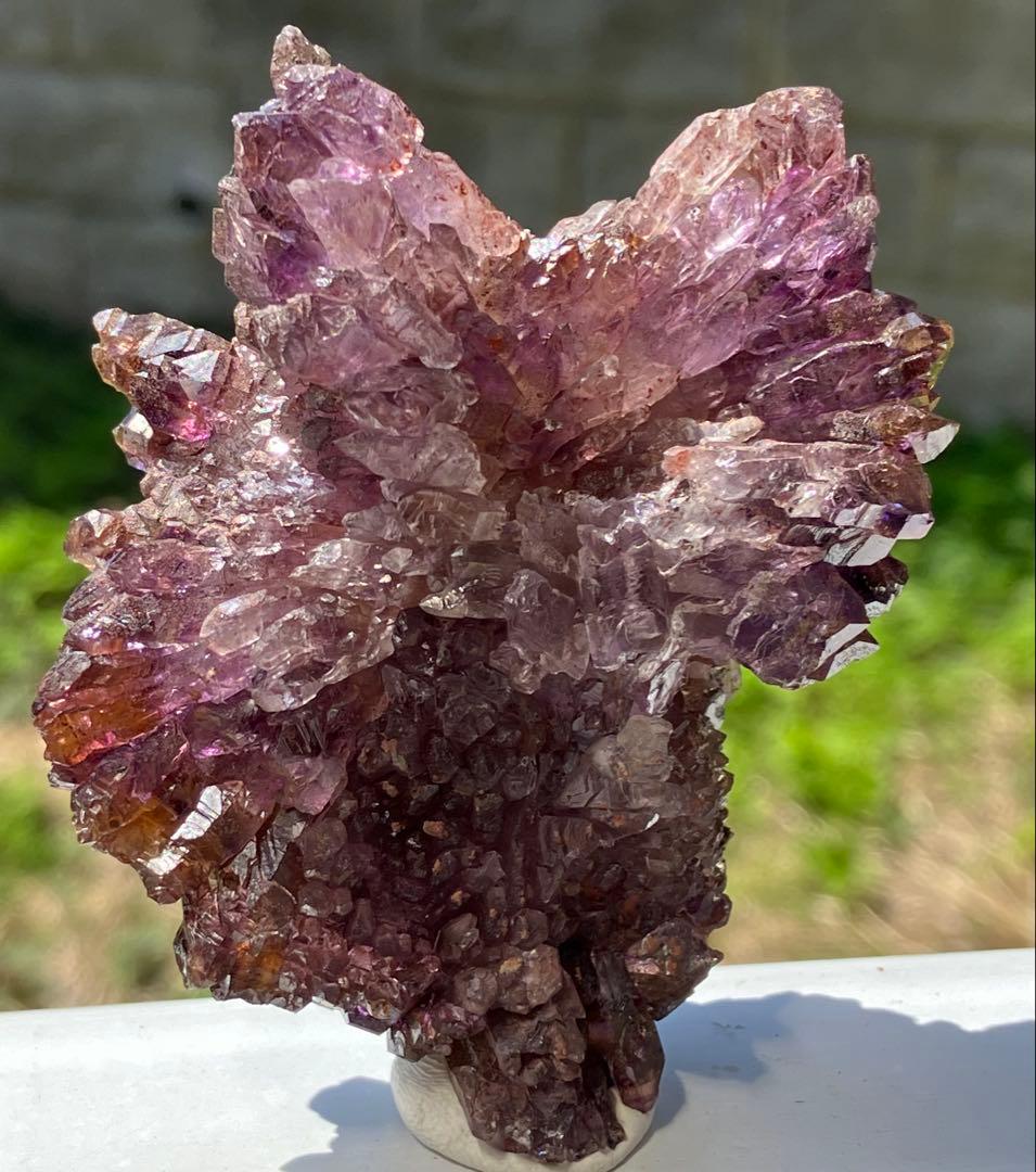 ウサマメ　レッドファントムクォーツ画像追加