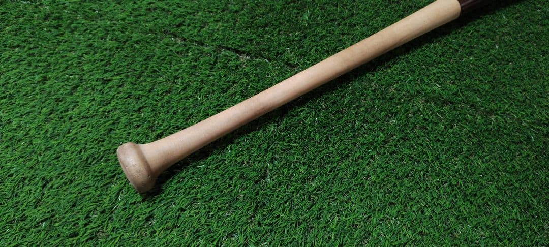 ミズノ　近藤健介　木製バット　akihirohayashi14