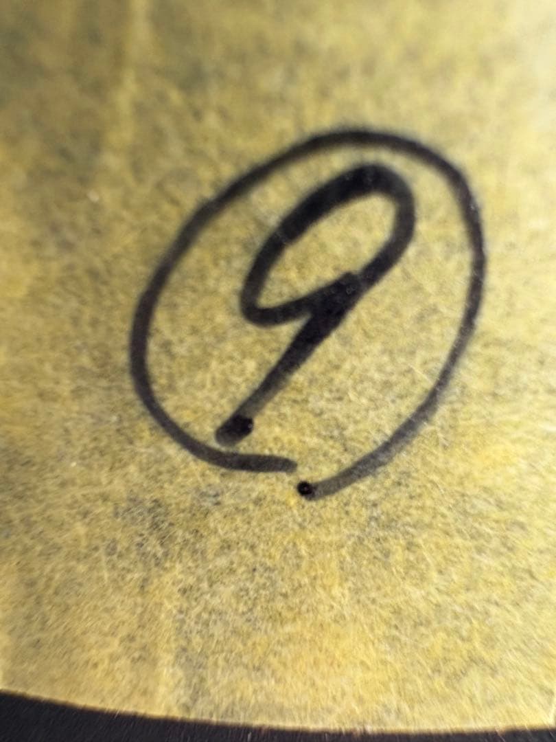 アンスリウム ワロクアナム 3号 ロングポット ⑨