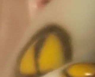 チョコビの日さん専用