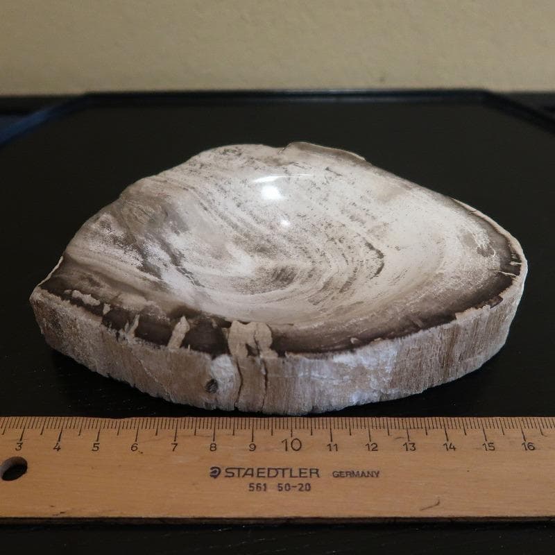 自然石加工品－2（ケニヤ産珪化木（木の化石）のキートレイ）