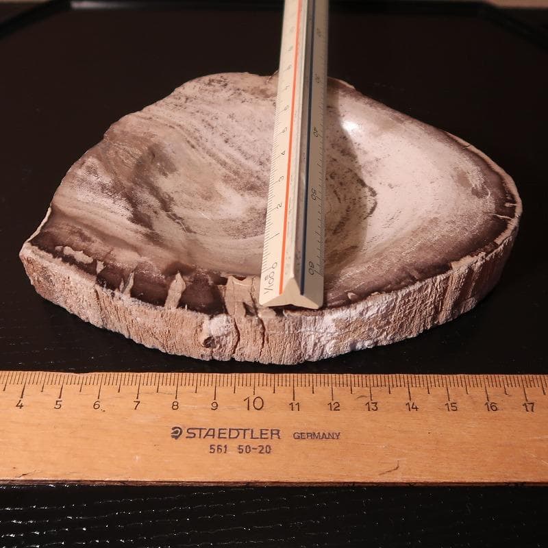 自然石加工品－2（ケニヤ産珪化木（木の化石）のキートレイ）