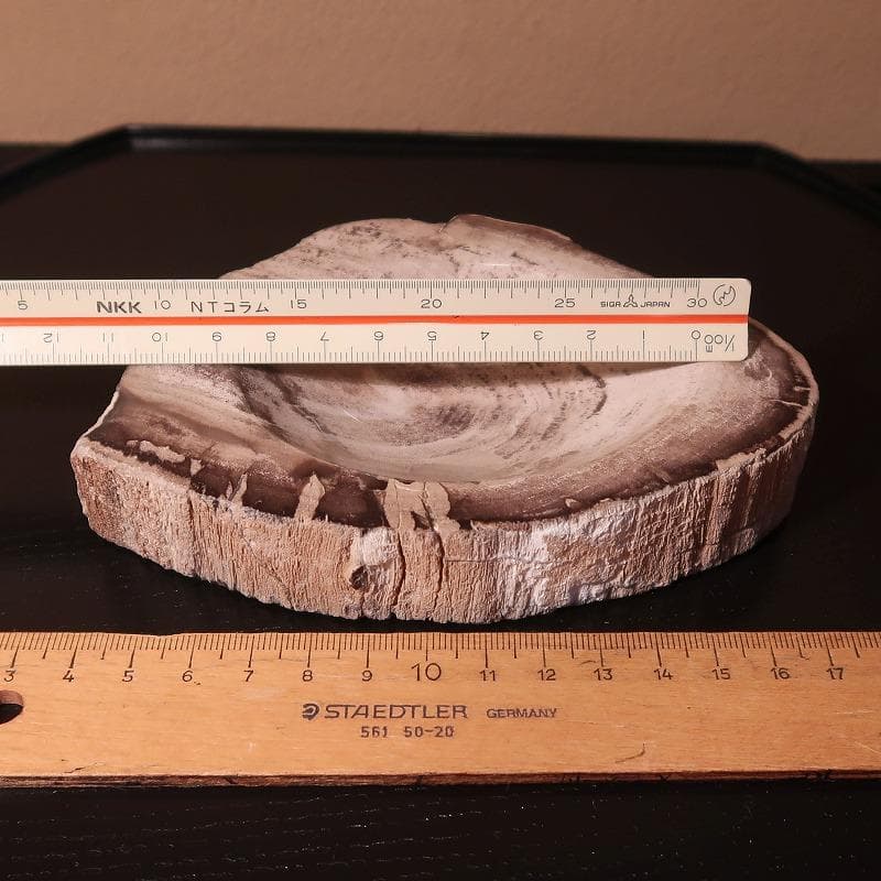 自然石加工品－2（ケニヤ産珪化木（木の化石）のキートレイ）