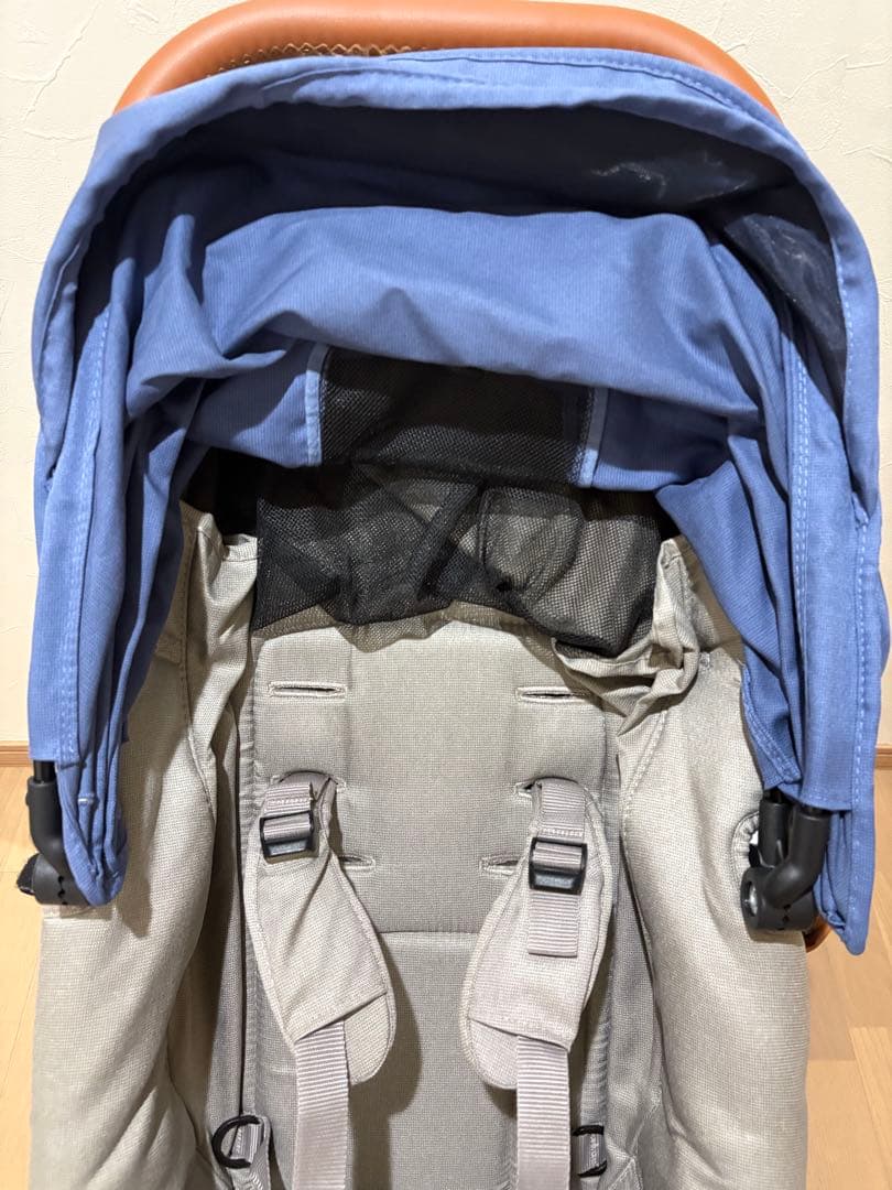 【ほぼ新品未使用品】AirBuggy Coco プレミアム　フロムバース　完品