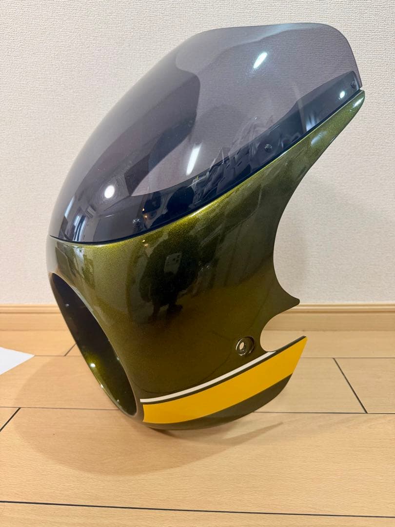ガルクラフト Z900RS KAWASAKI ビキニカウル　タイガー