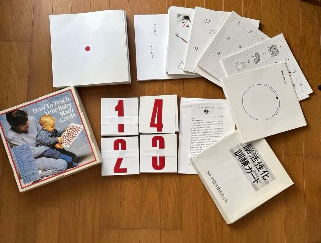 ドーマン博士のドッツカード　脳活性化訓練カード